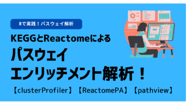 【R】KEGGとReactomeによるパスウェイエンリッチメント解析